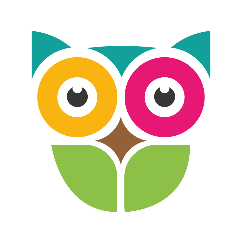 Teach Outdoors owl